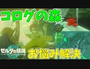 すごいコログに避けられてる人みたいになってる【ゼルダの伝説 ティアーズ オブ ザ キングダム】#145