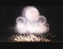 【2023】いわせ悠久まつり花火大会 エンディングスターマイン「春夏秋冬」