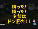 【ばーちゃるひゅーまんPUBG】てのろね視点撮れ高まとめ