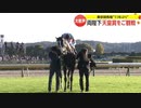 2023 天皇賞（秋） イクイノックス騎乗のC.ルメール騎手ジョッキーカメラ映像