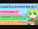 Cool　KUSHIRO　NEWS　Vo.13【VOICEVOX解説・VOICEROID解説】