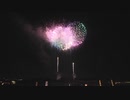 【2023】第56回常総きぬ川花火大会 ♪花火ミュージアム「5号玉100連発対打ち」【野村花火工業㈱】