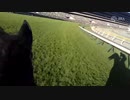 【ジョッキーカメラ】イクイノックス騎乗のC.ルメール騎手ジョッキーカメラ映像｜2023年天皇賞（秋）