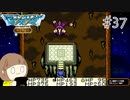 【DQM 初見実況】はじめてのテリワンの旅に行きます part37【テリーのワンダーランド レトロ】