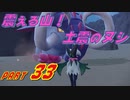 【スカーレット】宝物探求者への道 Part33【実況】