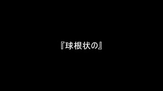 お題189『球根状の』