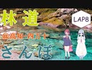 【COEIROINK車載】林道さんぽ＠四万十＆酷道439【セロー】