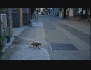 上海ゲーム