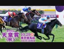 【中央競馬】プロ馬券師よっさんの第168回 天皇賞(秋)(GⅠ)