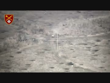 ホモと見る人間大砲