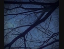 Calm Quagmire / feat.星水晶