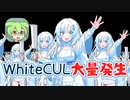WhiteCUL雪大量発生【ずんだもんニュース】