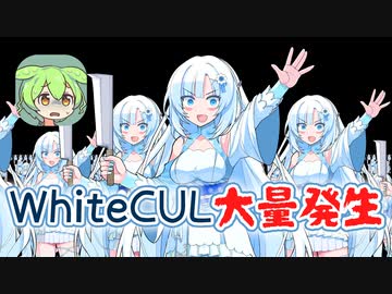 WhiteCUL雪大量発生【ずんだもんニュース】