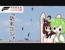 【ForzaHorizon5】ずんだもん in ホライずん短 [Drivatarの嘘編]