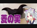 菱の実をボロボロ日本語で食べる【VOICEROID 東北イタコ】
