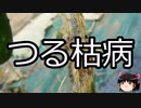 【ゆっくり朗読】ゆっくりさんと不思議な病気 その609