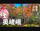 京都紅葉ちょこっとガイド「奥嵯峨」