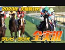 2023年 天皇賞(秋) テレビ・ラジオ全実況＋おまけ(実況無し×ジョッキーカメラ)