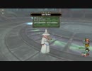 【DQX】ルベランギス2サポ3攻略 (8分40秒)【自僧侶・ドラゴンキッズ・天地・海賊】