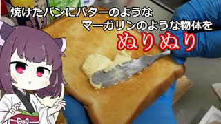 トーストを食べる　きりたん