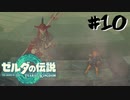#10 2か月ぶりのヘドロクリーニング【ゼルダの伝説 TotK】