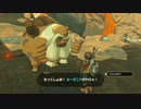 ゼルダの伝説　ブレス オブ ザ ワイルド　実況プレイPart82