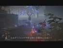 エルデンリング TMCターニッシュドメイクライ侵入part111