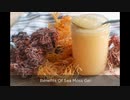Real Sea Moss Gel