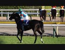 2023年10月29日_東京競馬_11R_天皇賞秋_芝2000