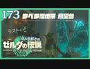 #173【ゼルダの伝説ティアーズオブザキングダム】ちょっと世界を翔けてくる【実況プレイ】
