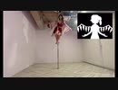 【東方鋼管舞】bad apple!! (short ver) をポールで踊ってみた
