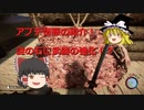 【SonsOfTheForest】アプデで追加された要素を楽しめ！ #14
