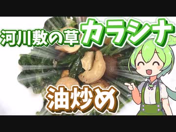 カラシナを油炒めにするずんだもん