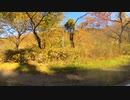 yesterday's motorcycle touring 10/30th 2023 Japan