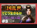 【真三国無双４猛将伝】三国乱世でどう生きるか　空前の悪女編＃3