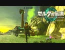 何事もなく会えると思うなよ【ゼルダの伝説 ティアーズ オブ ザ キングダム / ゲーム実況】part12の中編