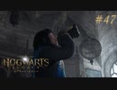 【実況】イギリスで生類憐みの令を発令させる魔女【ホグワーツ・レガシー】#47