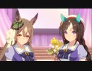 【ウマ娘】トゥインクルコレクション プリティーダービーガチャ（23年11月）を普通に回す