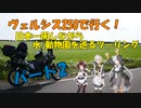 ヴェルシス250で行く日本一周しながら水/動物園を巡るツーリング、ぱーと2