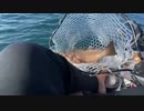 【3時】爆釣ダイジェスト