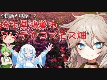 つむぎちゃんとずんだもんと雪ちゃんとゆっくりさんのぶらり旅　その７　コスモスアリーナふきあげ