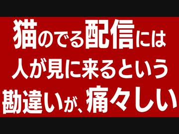 クマが実況するStray #02