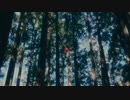 高本光『大人になりたい』 Official Music Video