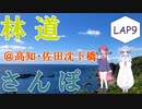 【COEIROINK車載】林道さんぽ＠佐田沈下橋＆のんびり林道【セロー】