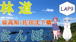 【COEIROINK車載】林道さんぽ＠佐田沈下橋＆のんびり林道【セロー】