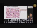 Sucharit Bhakdi教授、ワクチン接種の脳細胞への影響について #SucharitBhakdi #mRNA #コロナワクチン #脳細胞