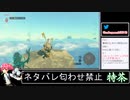 2023年05月15日ゼルダTotK【放送アーカイブ】