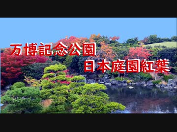 万博記念公園日本庭園紅葉