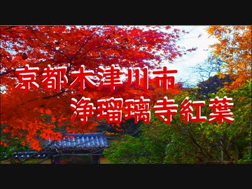 京都木津川市浄瑠璃寺紅葉