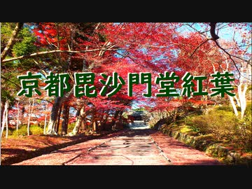 京都毘沙門堂紅葉